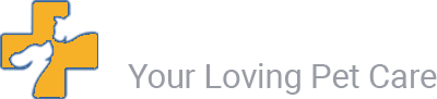 tnx.475.myftpupload.com Managed WordPress Site